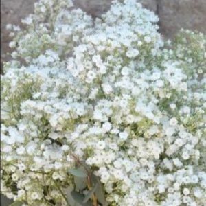 Meet your Posher, Robyn